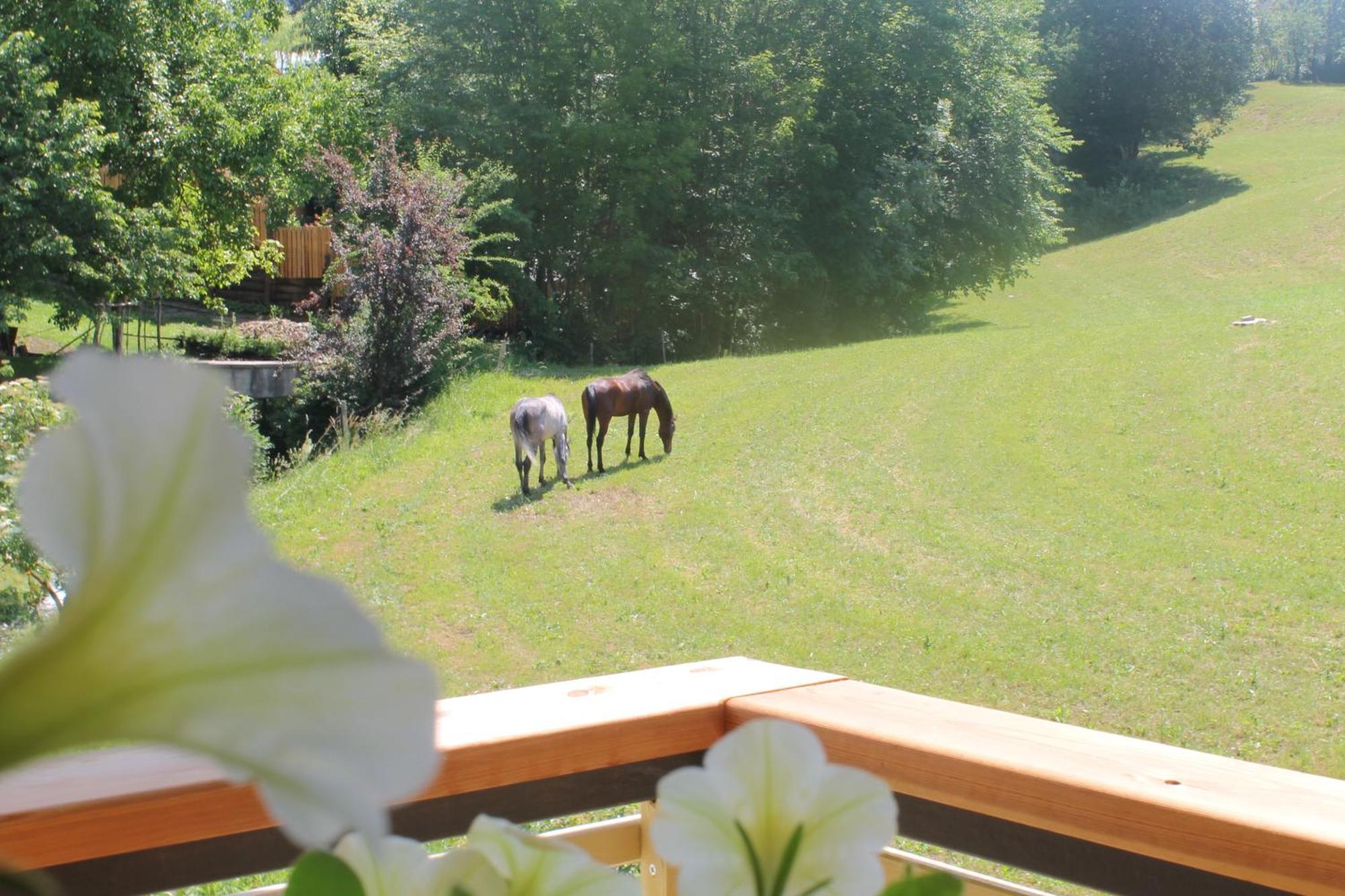 House Gabrijel With Four Seasons Outdoor Kitchen Villa Bled Esterno foto